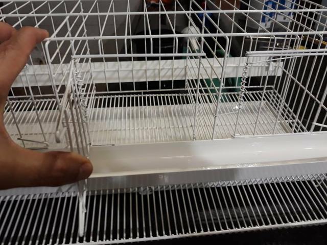 Gaiola para codorna - Foto 2