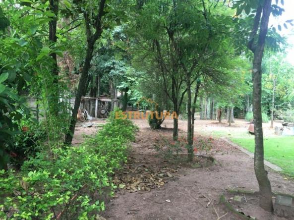 Chácara com 2 dormitórios à venda, 2000 m² por R$ 650.000,00 - Granja Regina - Rio Claro/S - Foto 7