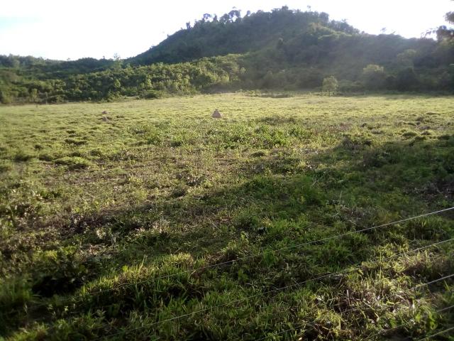 Vendo uma fazenda. chama zap * - Foto 5