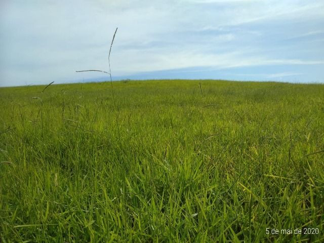 Venda-se está propriedade de 34 Alqueires no Estado do Rio de Janeiro RJ - Foto 13