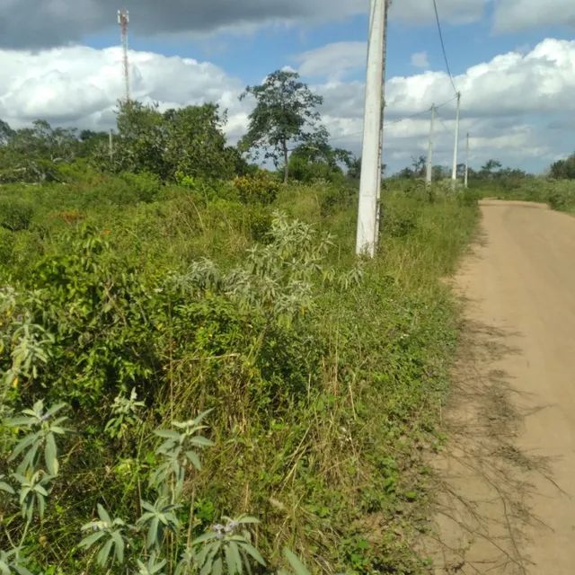 _Oportunidade terreno pròximo ao Sim - Foto 3