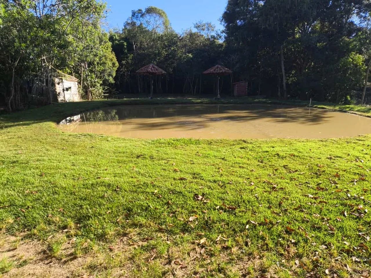 VENDO CHÁCARA EM PLANALMIRA COM CORREGO  - Foto 10