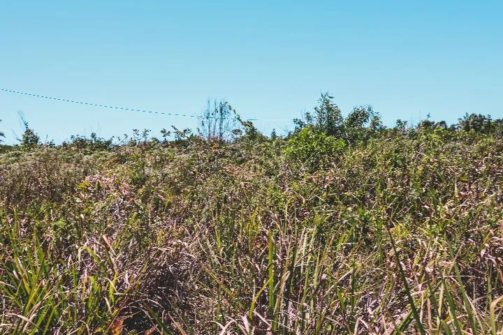 Terreno 14578 m2 em Corumbau - Foto 2