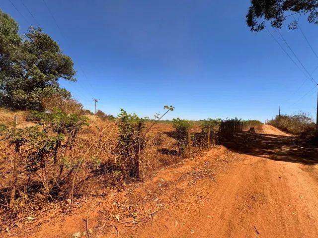 Vendo chácara com plantação - Foto 4