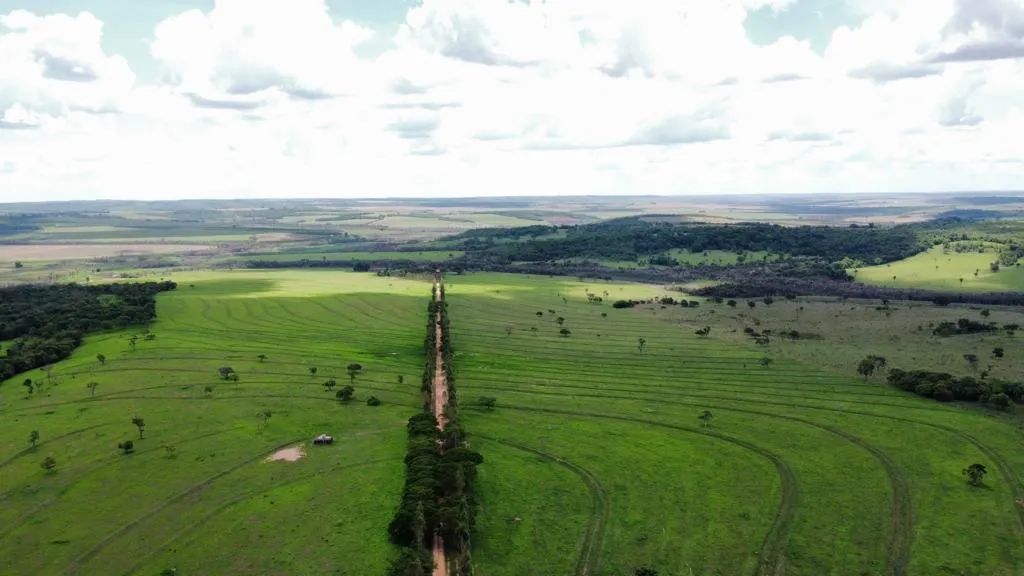 Excelente fazenda em Uberlândia  - Foto 3