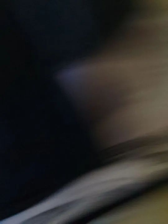 Bermuda Ciclismo Damatta - Foto 3