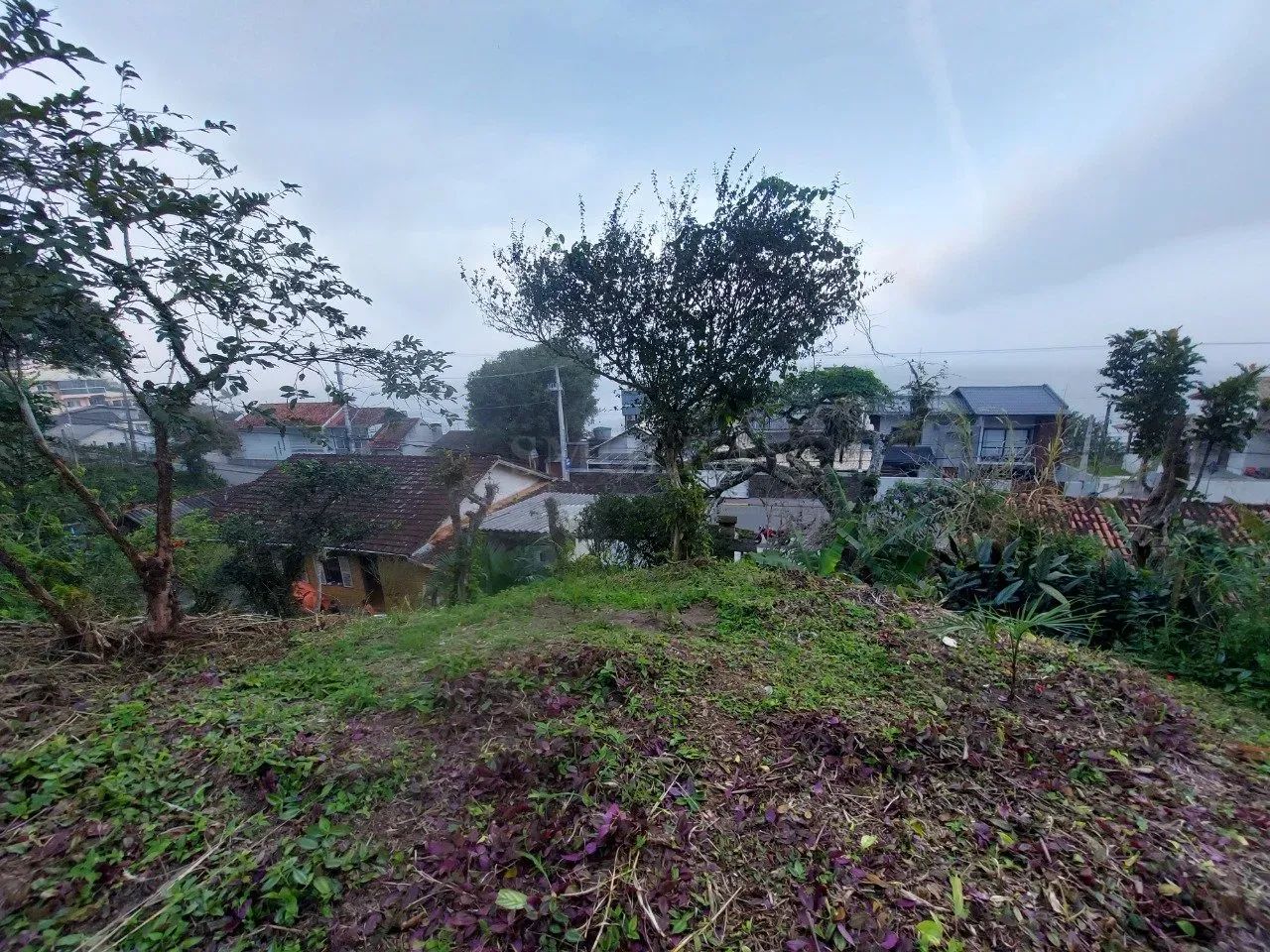 Terreno em Sambaqui - Foto 2