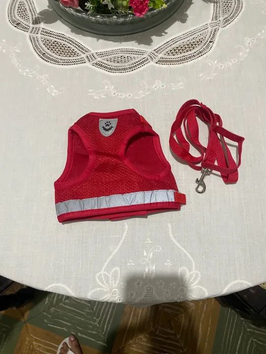 Coleira e Peitoral para Cães - Vermelho