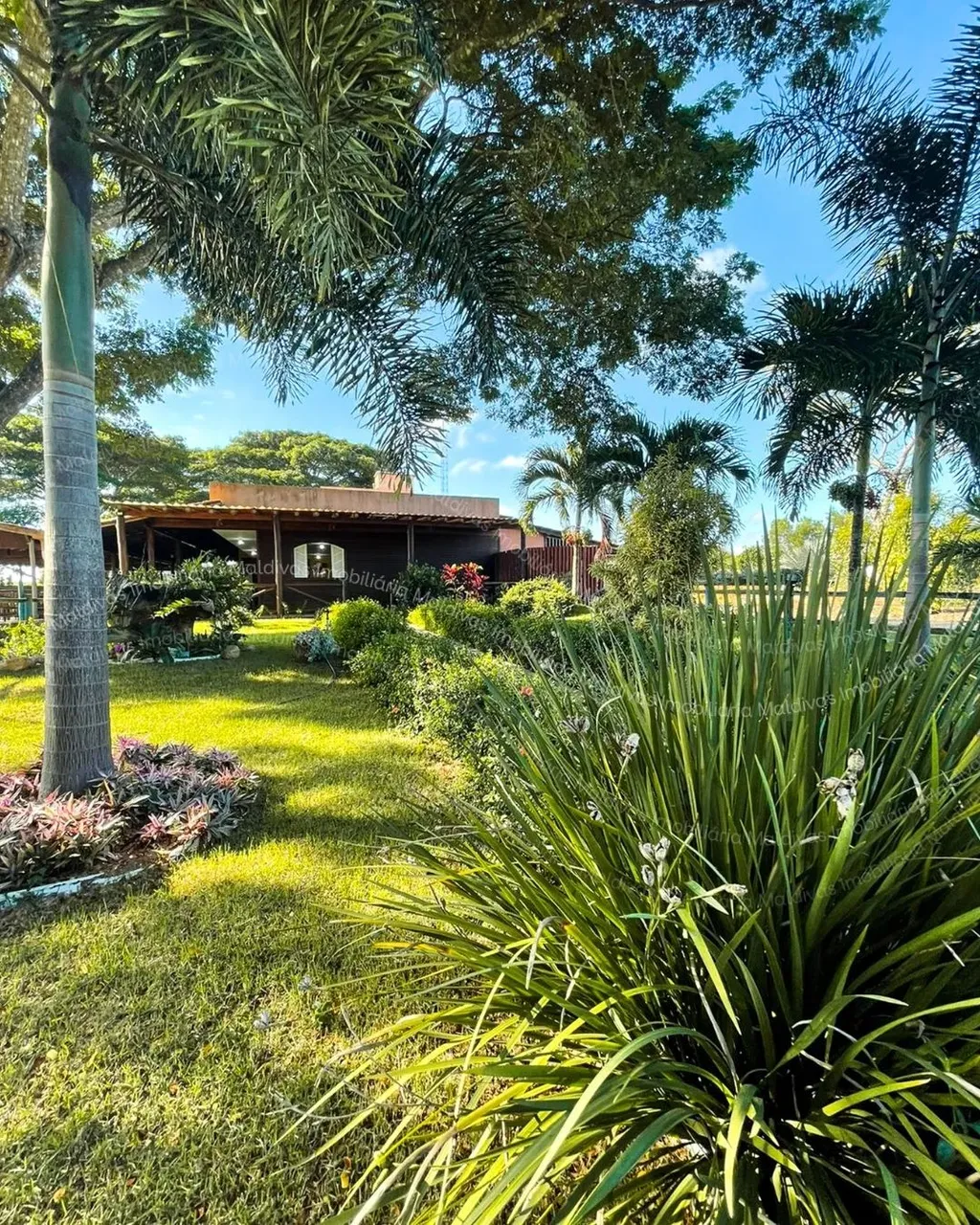 Vende-se Cantinho da Roça - Linhares - ES