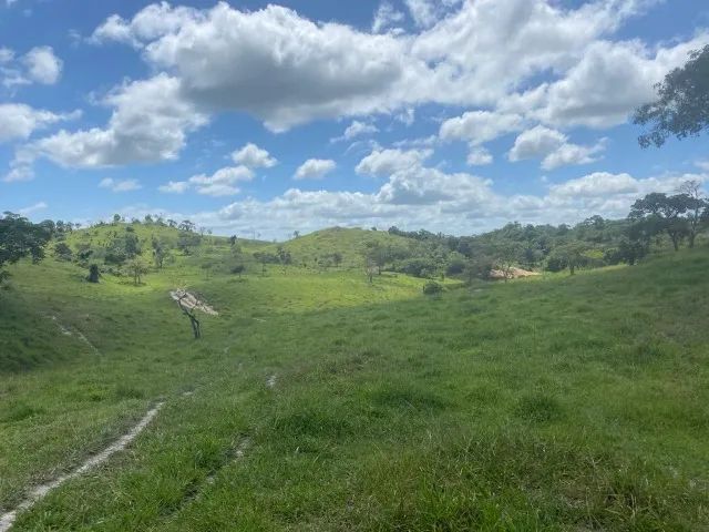 FAZENDA EM IBITUPÃ - 800 HECTARES - Foto 2