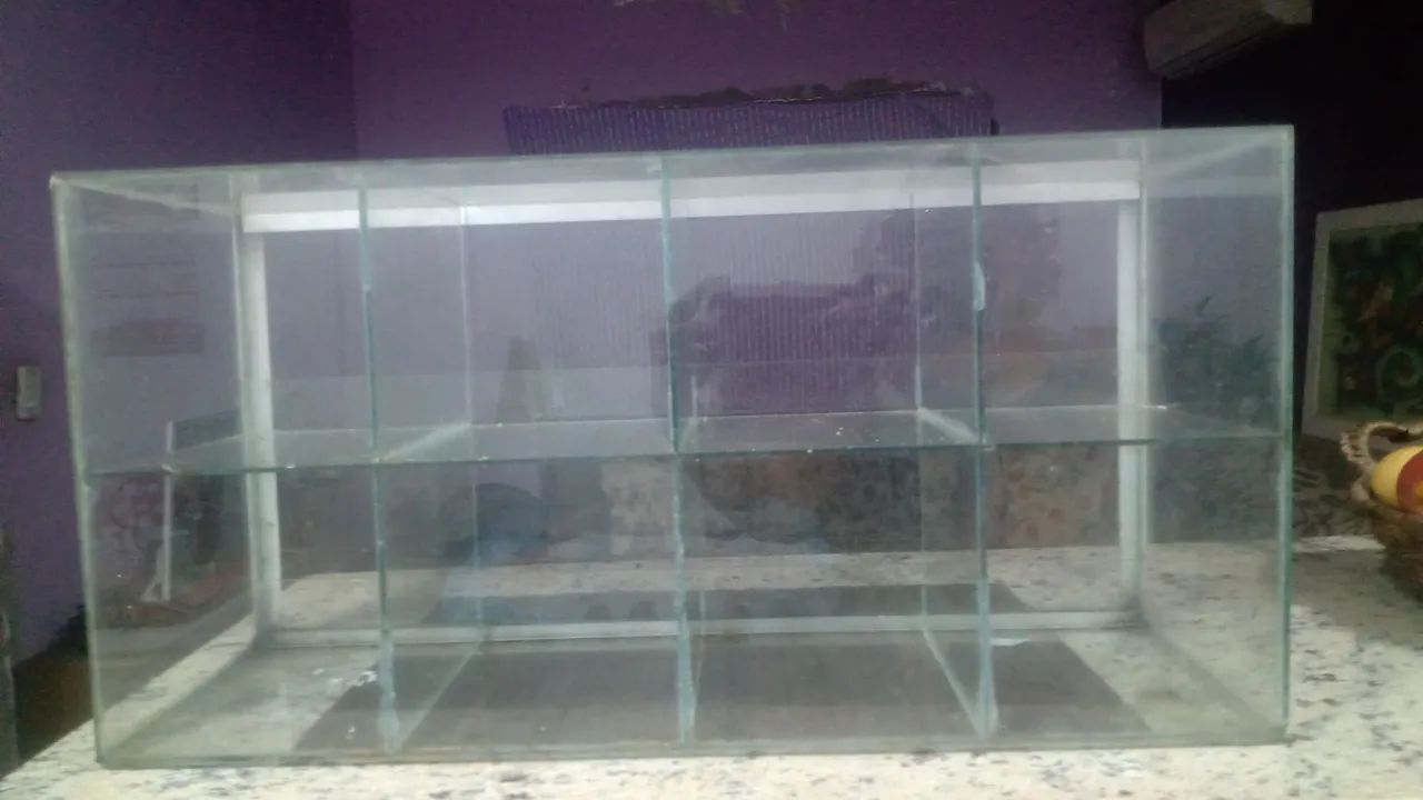 Vitrine Expositora de Vidro com Prateleiras Baleiro.  - Foto 3