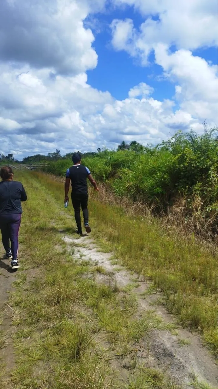 Sítio a poucos metros da BR 319, sentido Humaitá, km 35, 100 c 200, com Igarapé