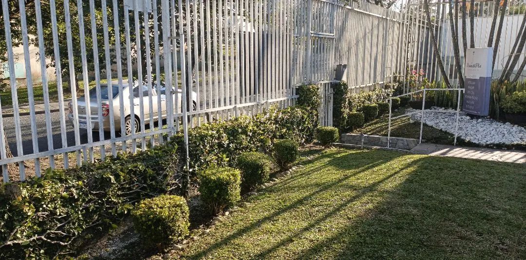 Jardinagem e Paisagismo  - Foto 2
