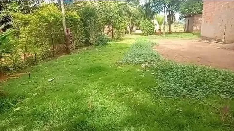 Venda uma casa