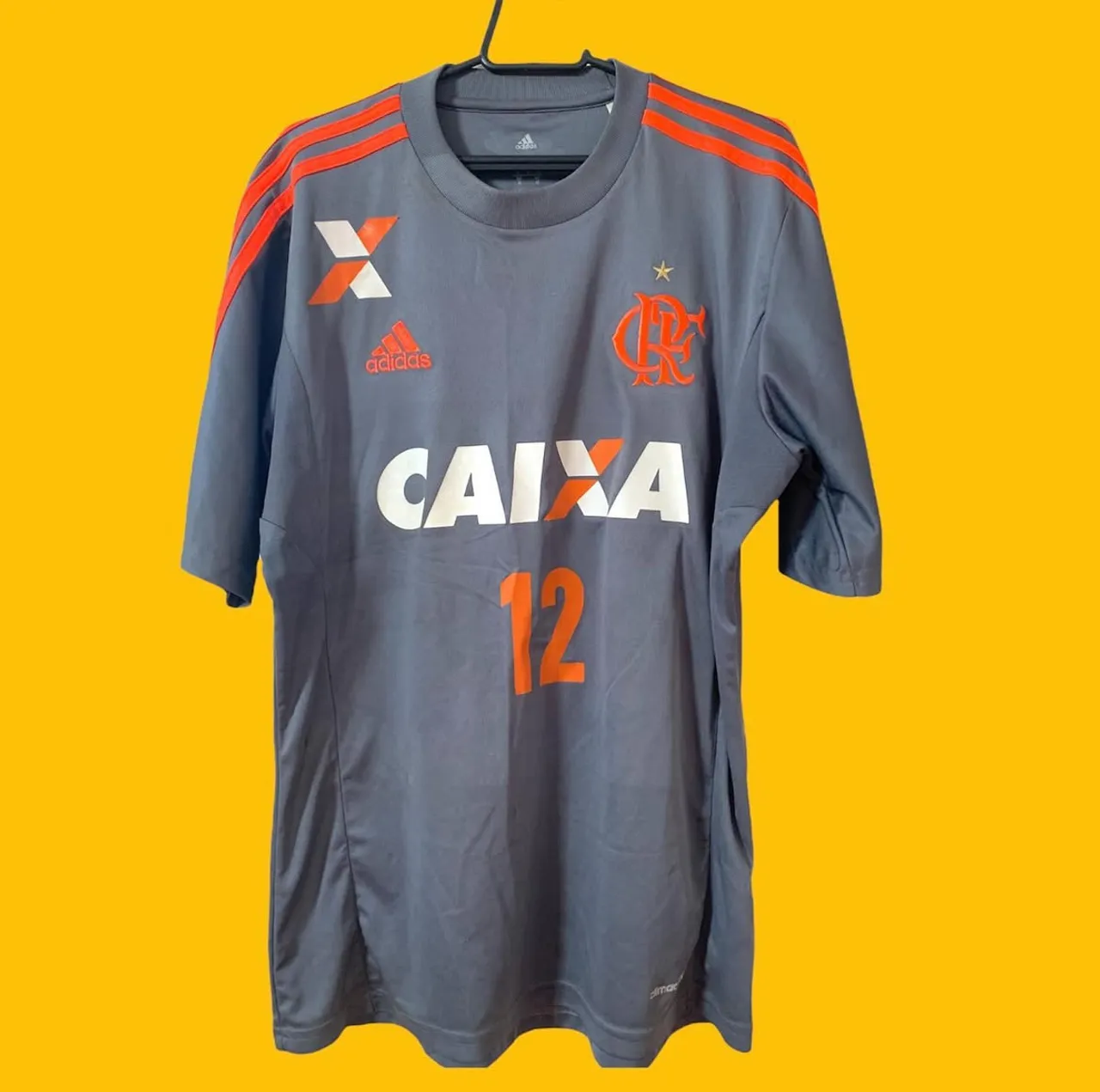Camisa Flamengo Goleiro 2013