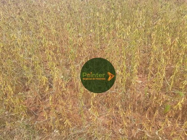 Fazenda à venda, 6000000 m² por R$ 40.000.000,00 - Zona Rural - Nova Ubiratã/MT