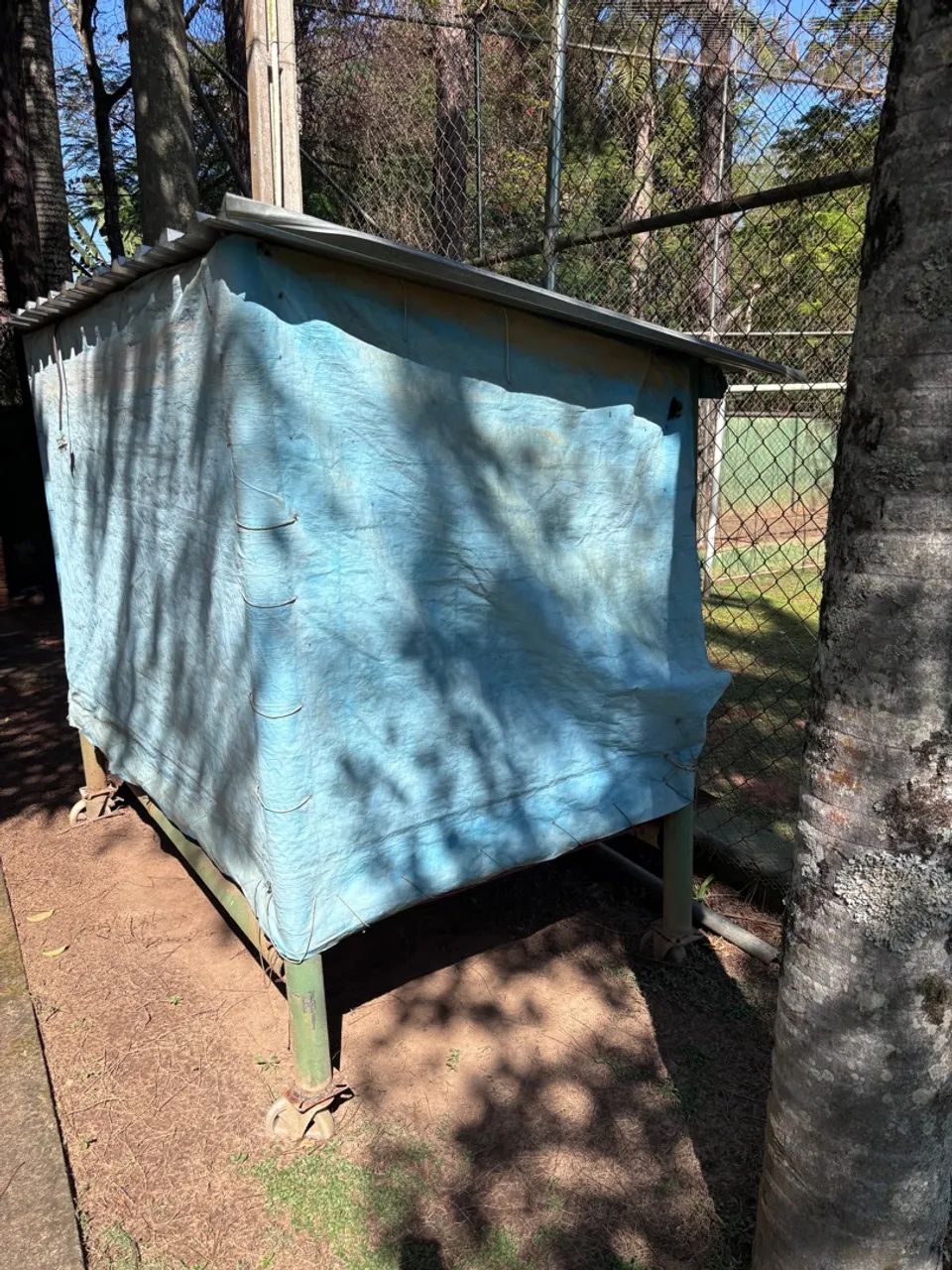 Abrigo/Tenda para animais em bom estado