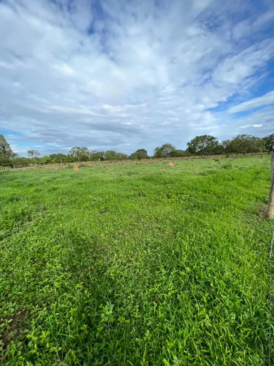 Fazenda , sitio entre paracatu e unai, 48 hectares, pastos formados, sessão de direitos,