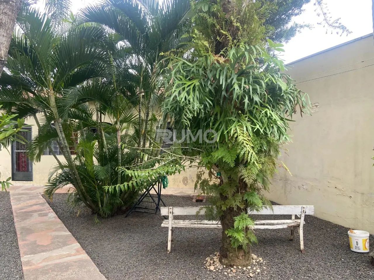 casa - Jardim Dom Nery - Campinas - Foto 4