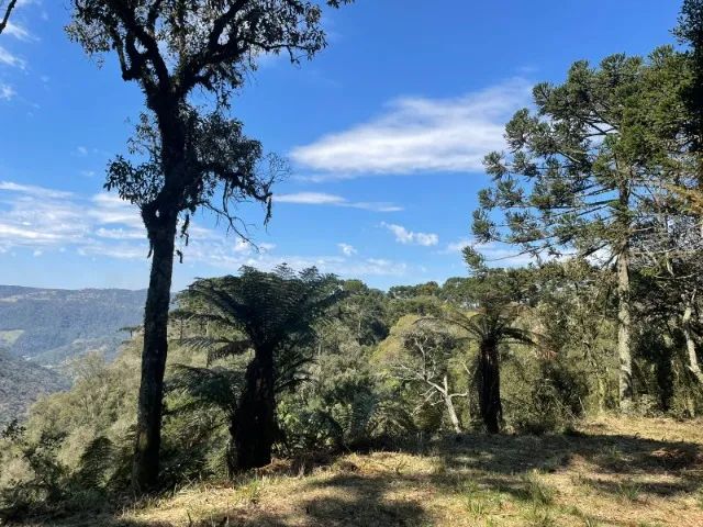 Terreno com Canion em Urubici Serra Catarinense  - Foto 5