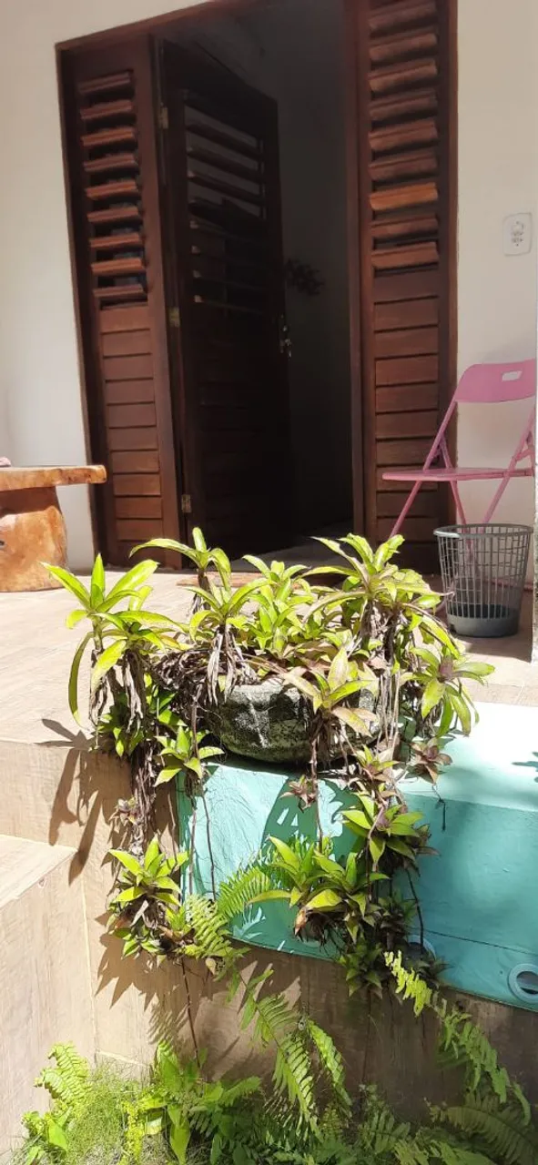, TERRENO/ POUSADA