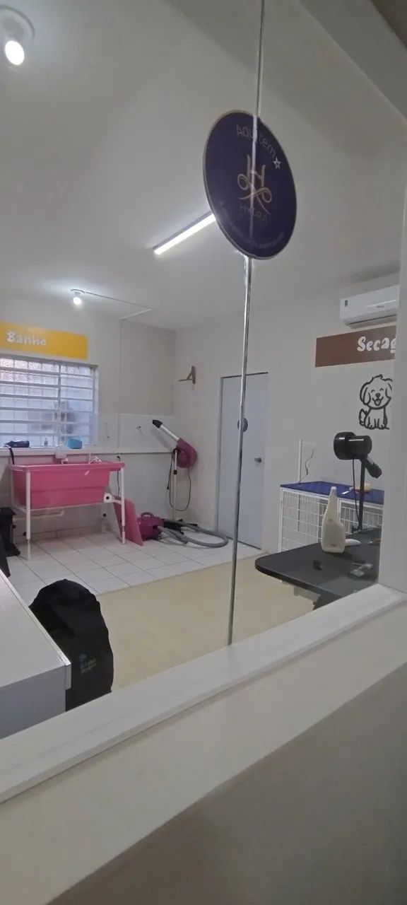  Pet Shop Caxias do Sul - Foto 3