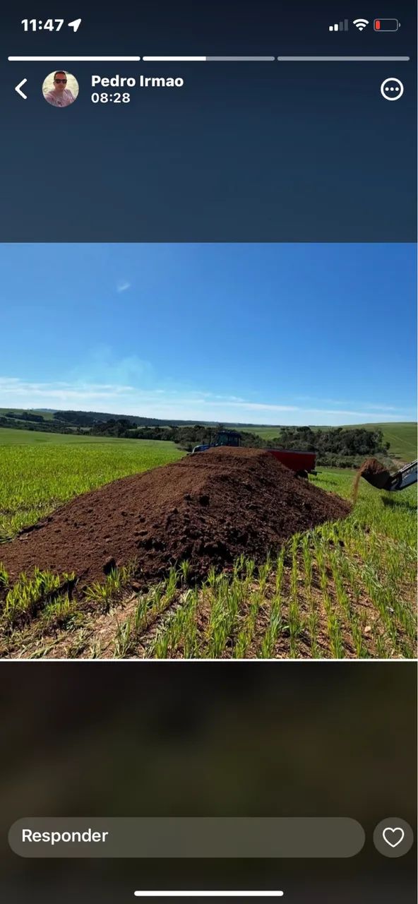 Terra vegetal esterco orgânico composto 64298580789377120