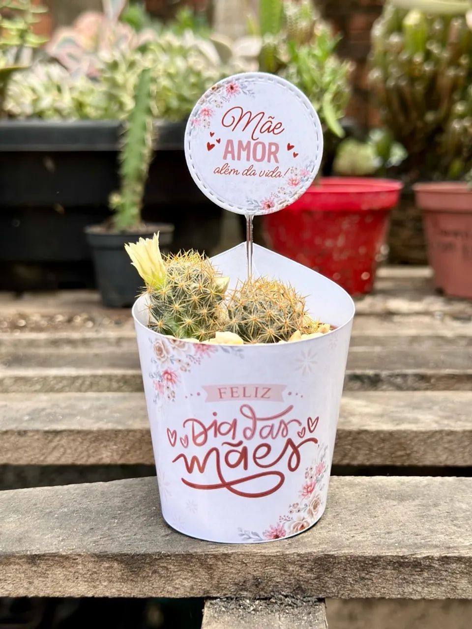 Lembrancinhas personalizadas com cactos e suculentas  - Foto 3