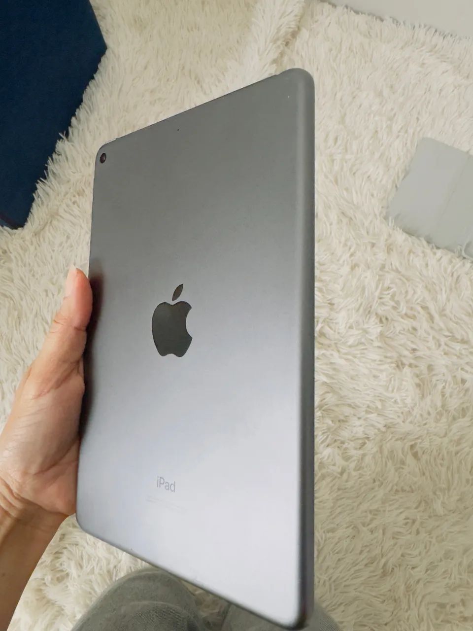 Ipad Mini64169280294786123