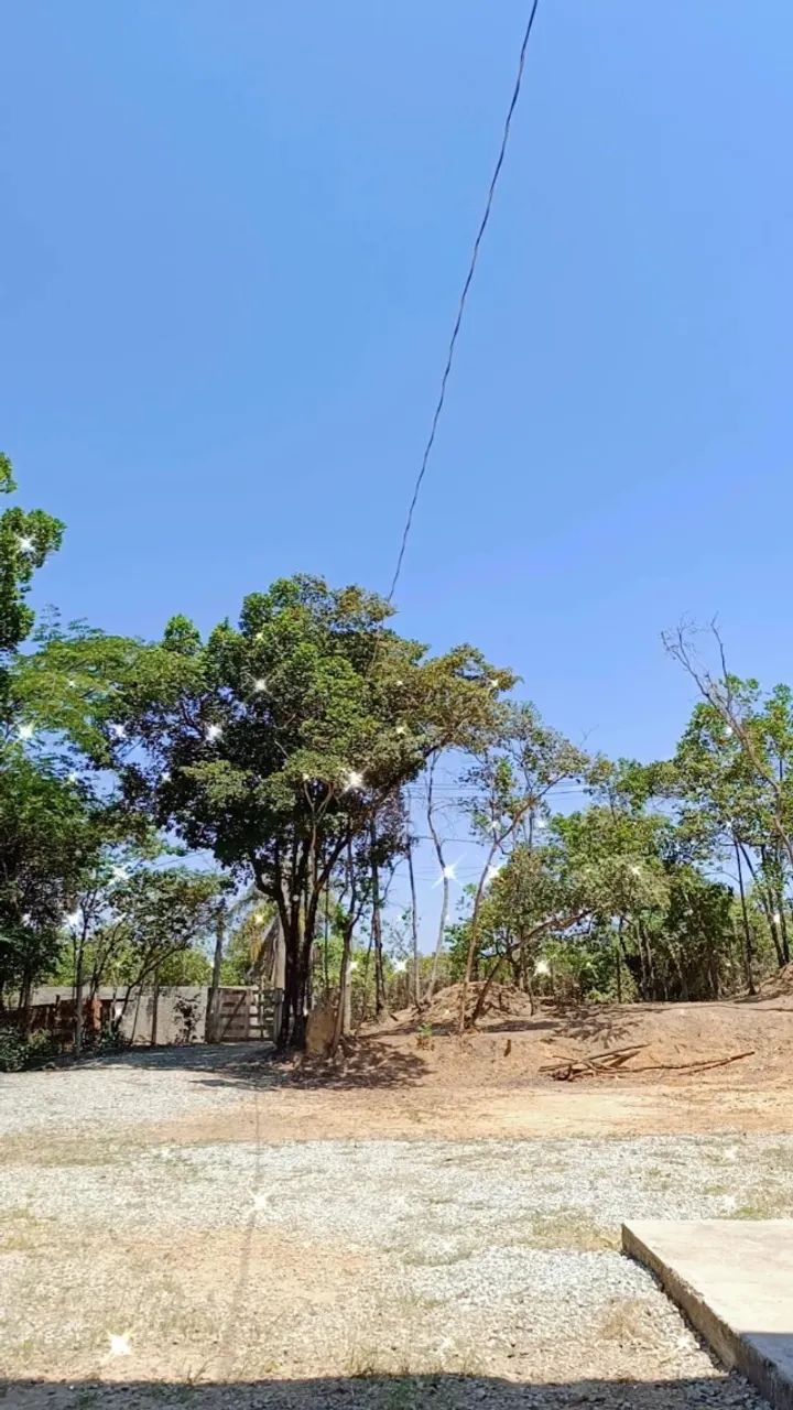 Foto - Contagem - Capim Rasteiro (Chácaras Campo Alegre)