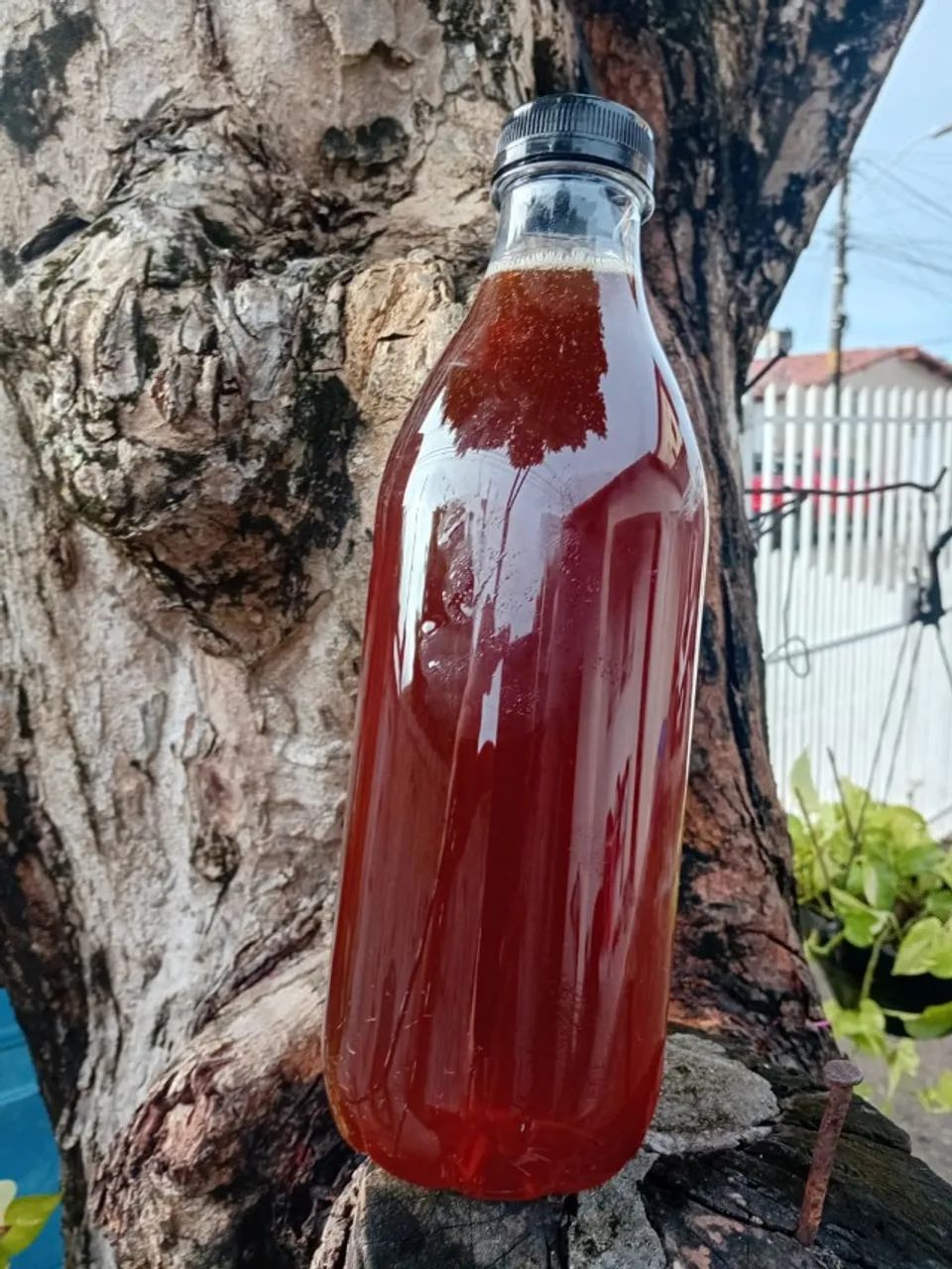 Mel, saúde e bem-estar!