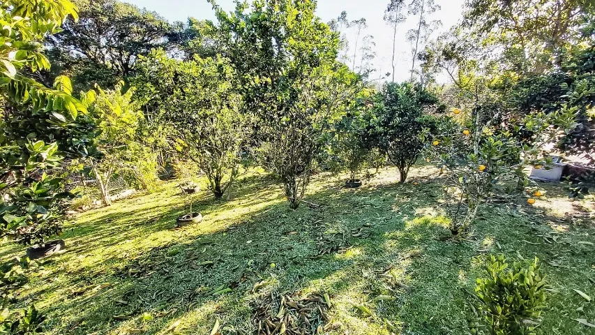 Sitio Três Riachos