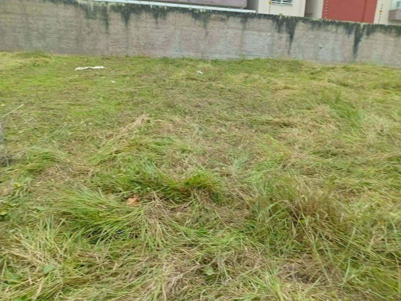 Terreno locação - Foto 4