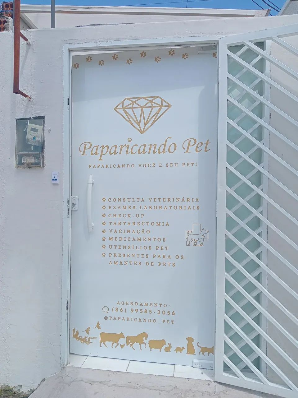 Paparicando Pet - produtos para pet, consulta veterinária
