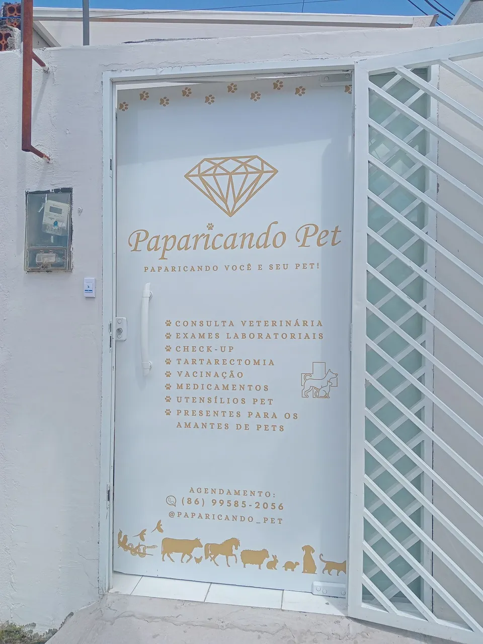 Paparicando Pet - produtos para pet, consulta veterinária