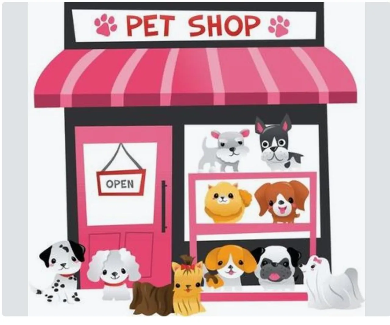 Vendo petshop completo em Assis-SP