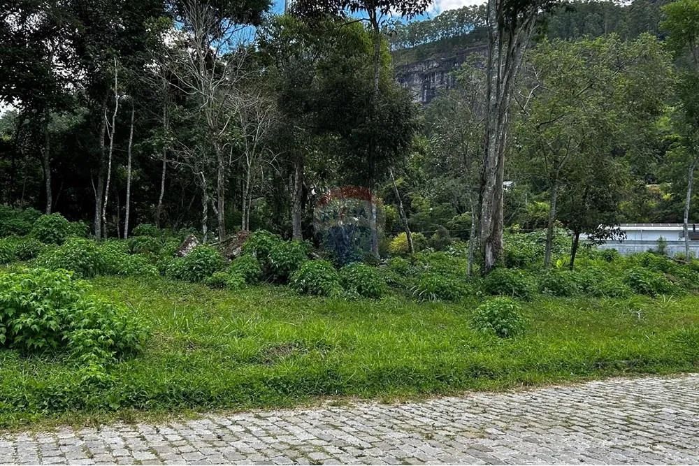 Terreno a venda, com projeto de 4 casas, por 398.000,00, Parque São Clemente - Nova Fribur