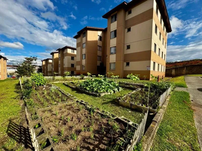 Apartamento - São José dos Pinhais PR
