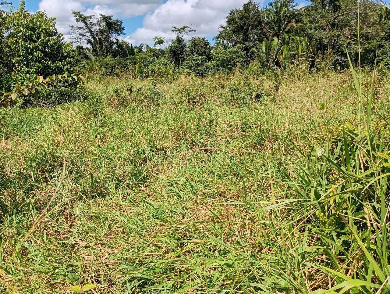 Foto - Porto Velho - Nova Califórnia