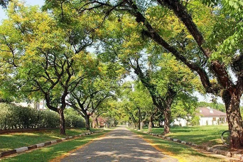 Terreno Exclusivo em Condomínio de Alto Padrão - Foto 12