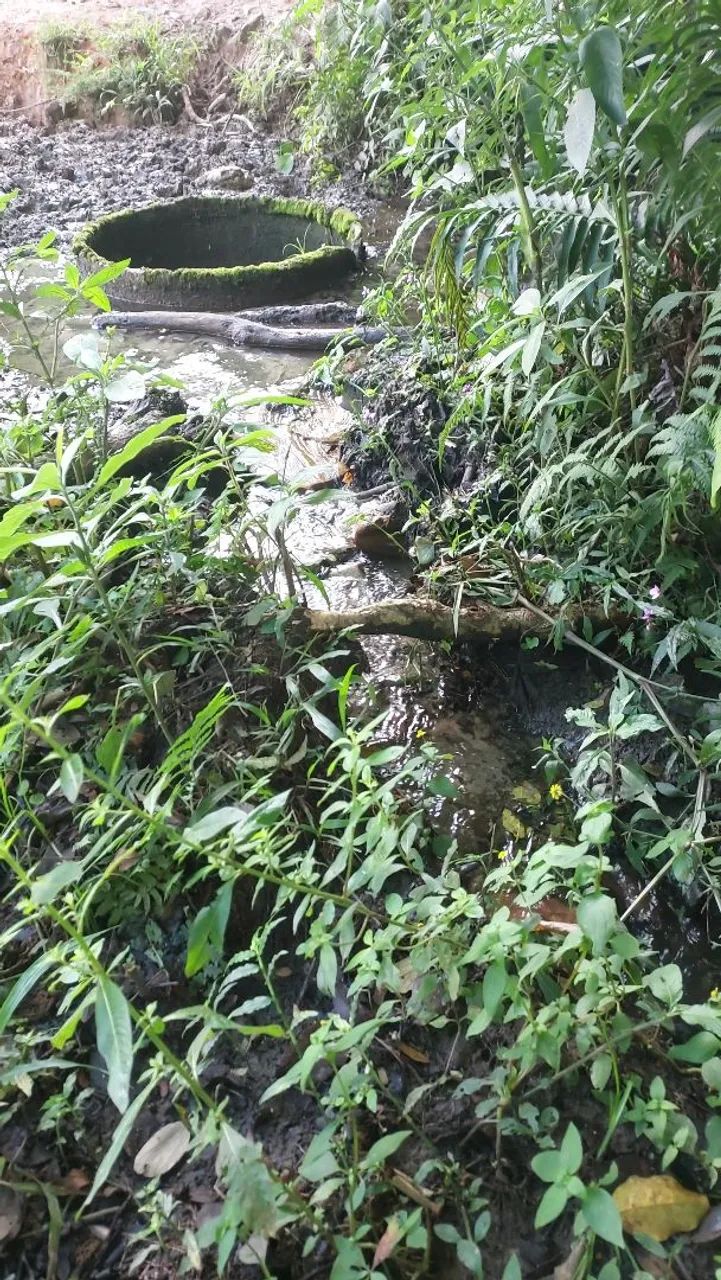 Imóvel rural são thomé das letras  - Foto 5