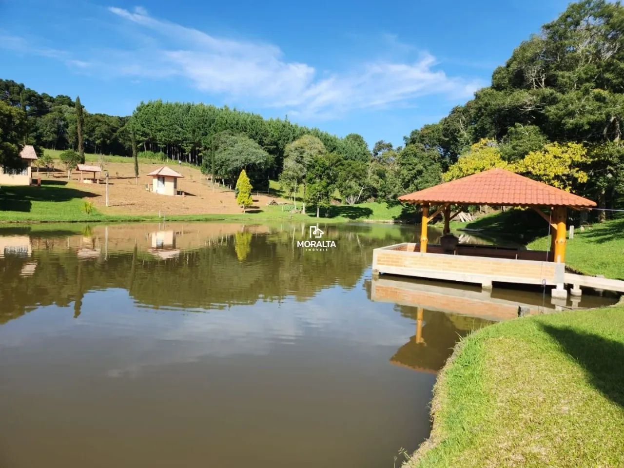 Chácara a venda com Plantação de Pinos em Tijucas do Sul - Foto 5