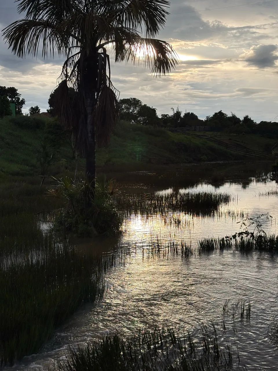 Vendo sítio em união dos bandeirantes  - Foto 2