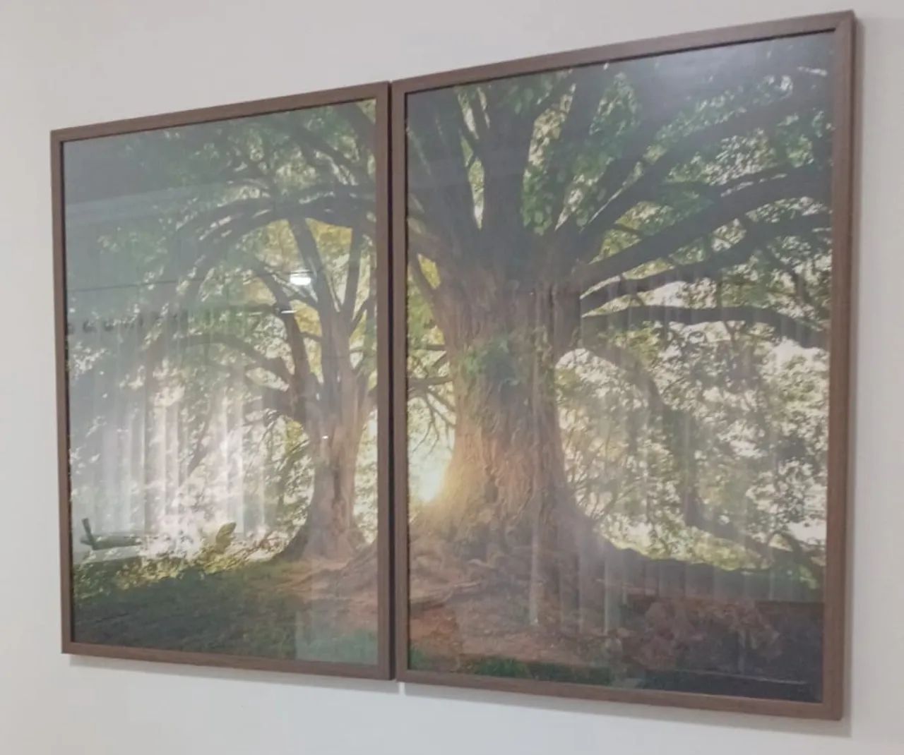 ? Conjunto de Quadros Decorativos - Moldura em Madeira ?