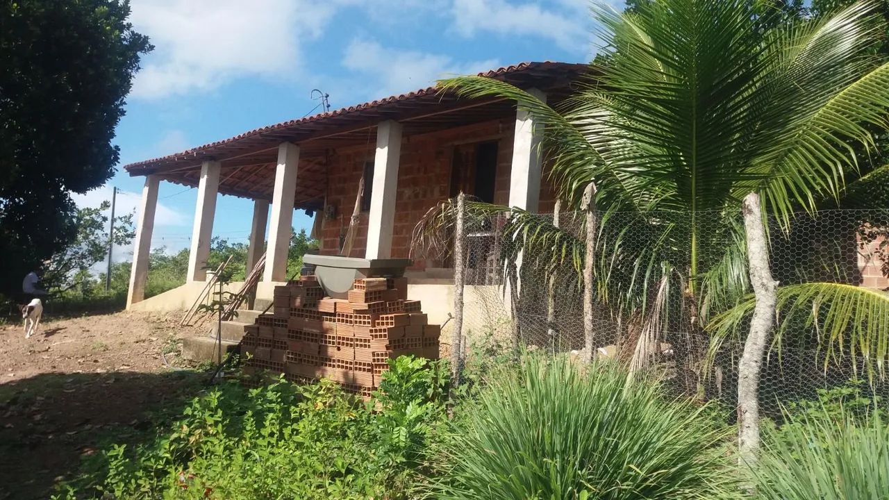 Granja santa Maria  - Foto 3