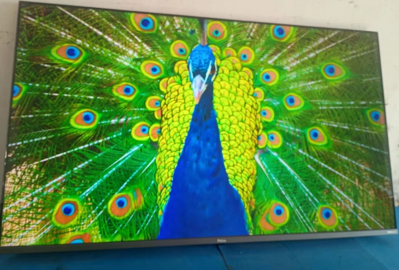 58 POLEGADAS NOVA - Foto 3