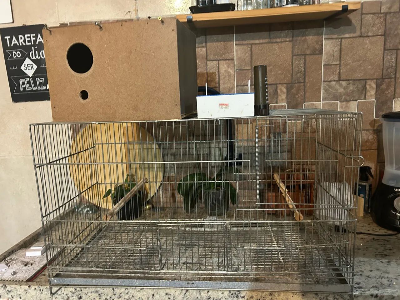 Gaiola para Calopsita 