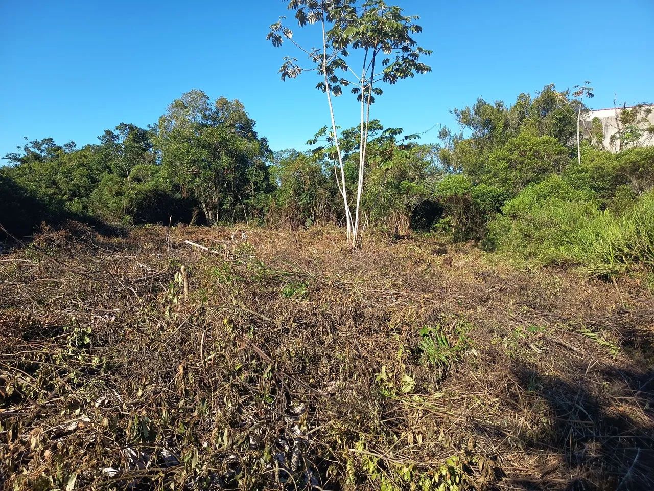 Terreno 20x50 Peruíbe SP - Foto 2