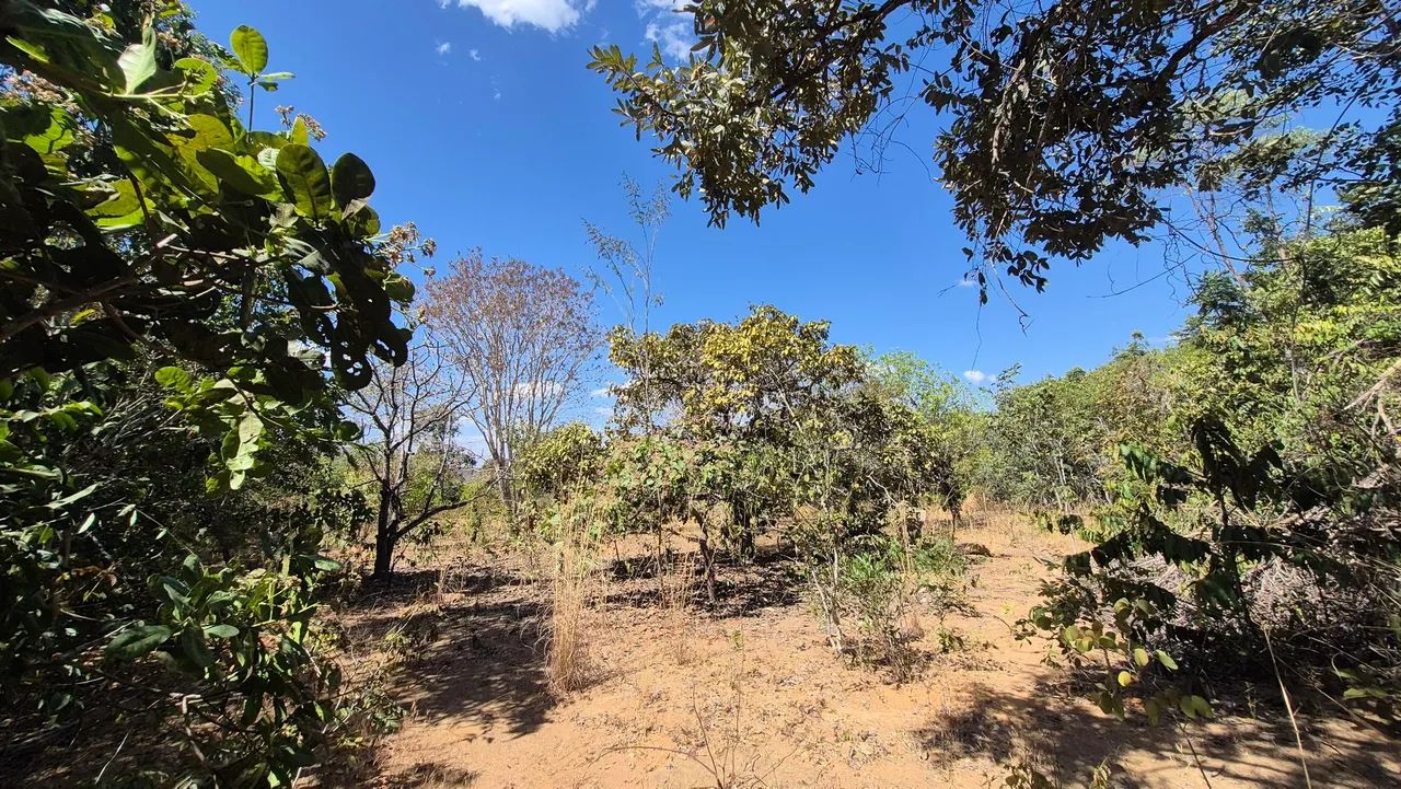 Terreno em Cavalcante Chapada dos veadeiros - Foto 5