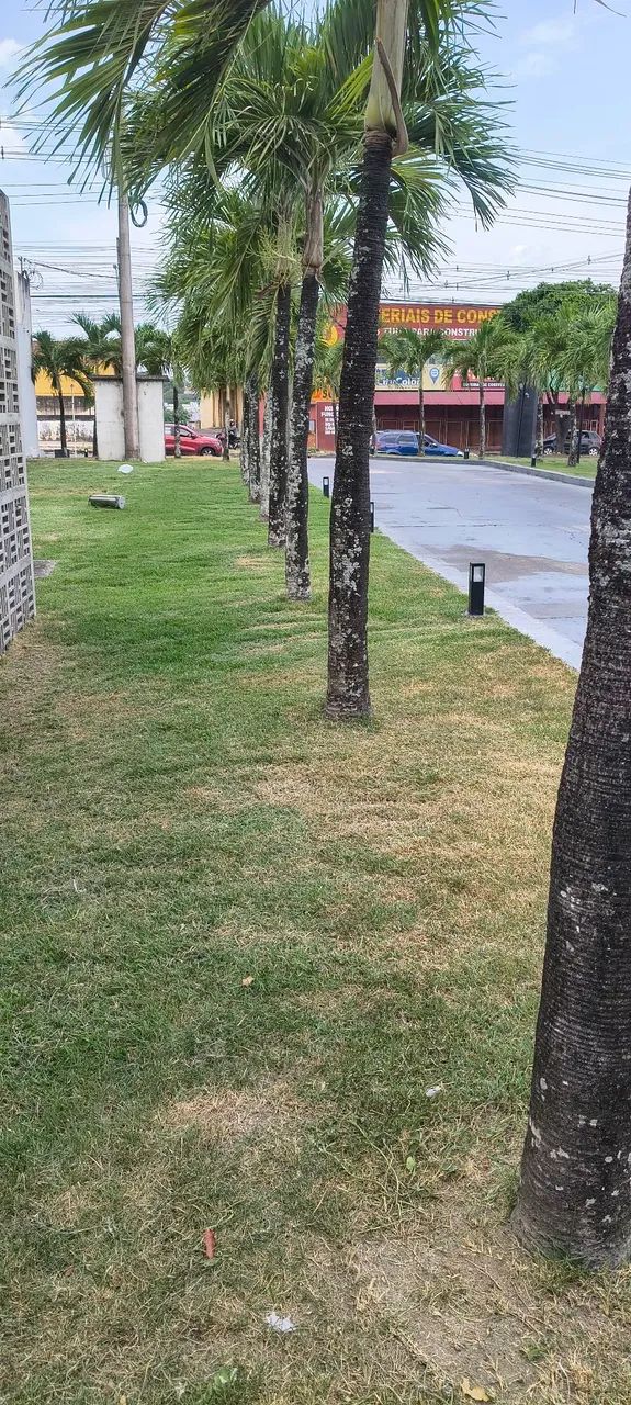 ROÇO E LIMPO TERRENO - ORÇAMENTO GRÁTIS! - Foto 2